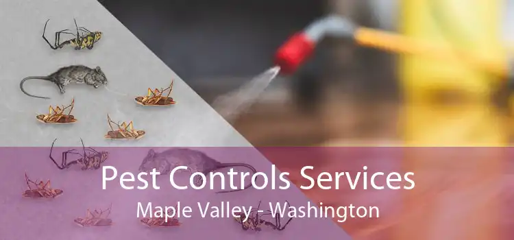 Pest Controls Services Maple Valley - Washington
