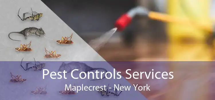 Pest Controls Services Maplecrest - New York