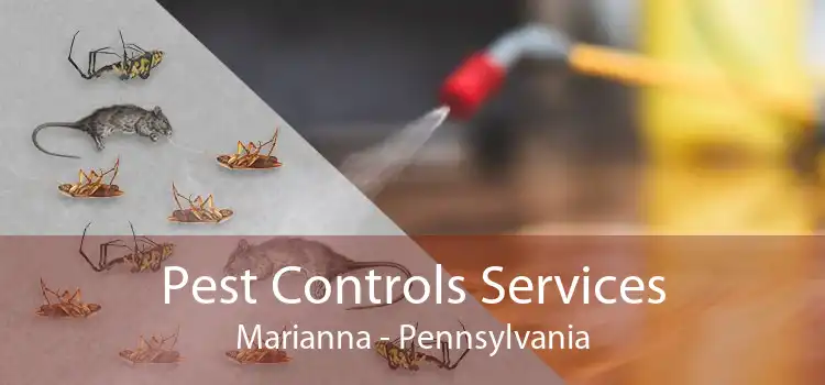 Pest Controls Services Marianna - Pennsylvania