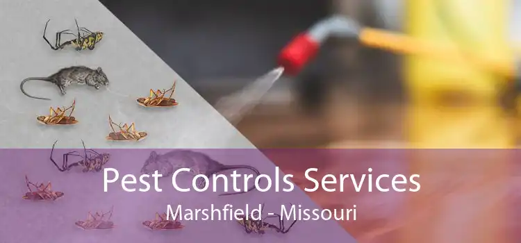 Pest Controls Services Marshfield - Missouri