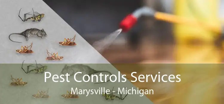 Pest Controls Services Marysville - Michigan