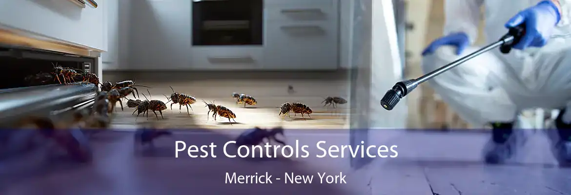 Pest Controls Services Merrick - New York