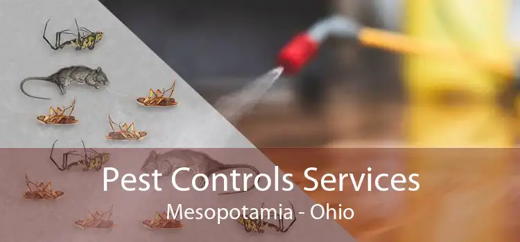 Pest Controls Services Mesopotamia - Ohio