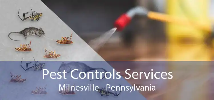 Pest Controls Services Milnesville - Pennsylvania