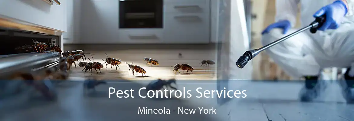 Pest Controls Services Mineola - New York
