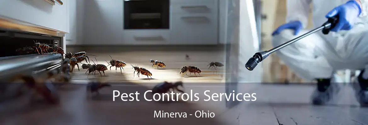 Pest Controls Services Minerva - Ohio