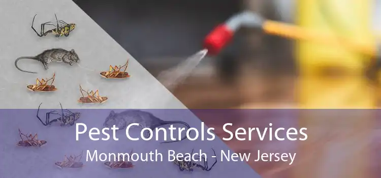 Pest Controls Services Monmouth Beach - New Jersey