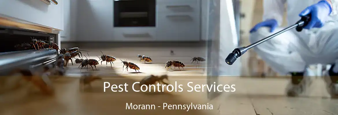 Pest Controls Services Morann - Pennsylvania