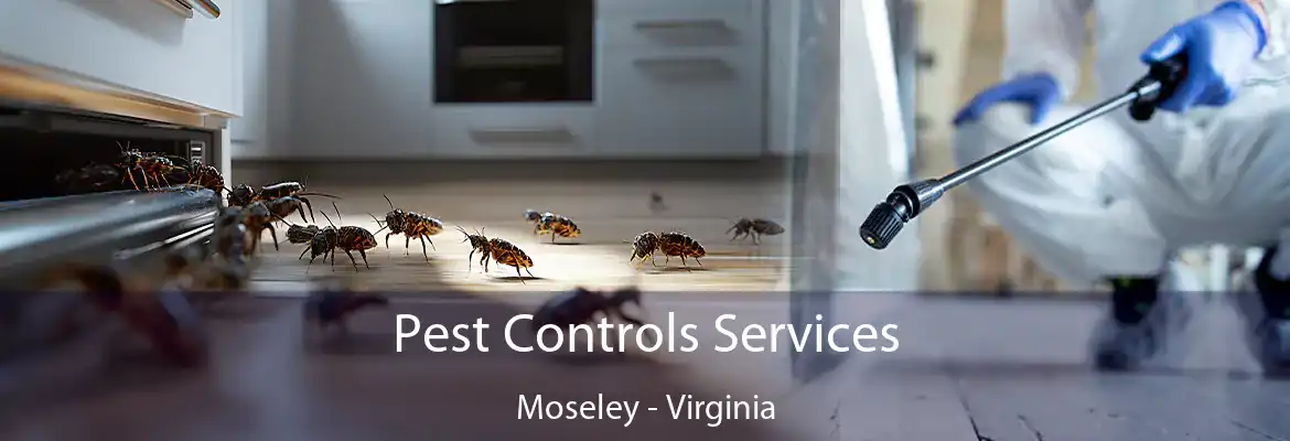 Pest Controls Services Moseley - Virginia