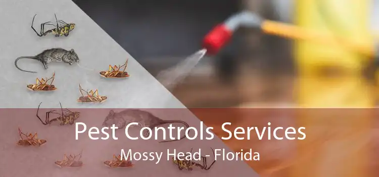 Pest Controls Services Mossy Head - Florida