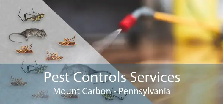 Pest Controls Services Mount Carbon - Pennsylvania
