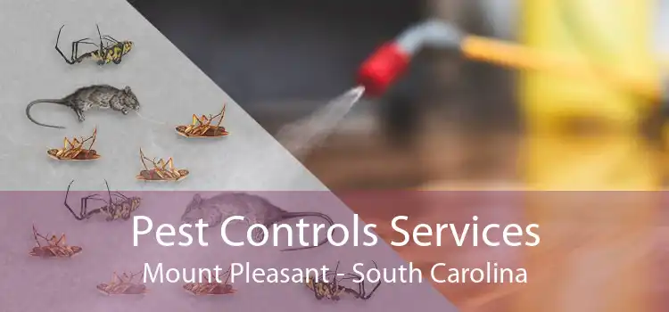 Pest Controls Services Mount Pleasant - South Carolina