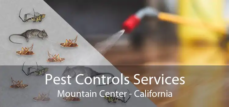 Pest Controls Services Mountain Center - California