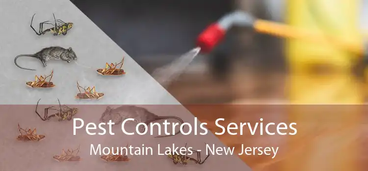 Pest Controls Services Mountain Lakes - New Jersey