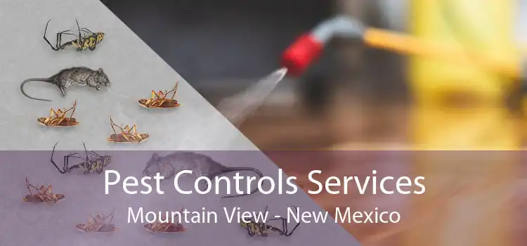 Pest Controls Services Mountain View - New Mexico