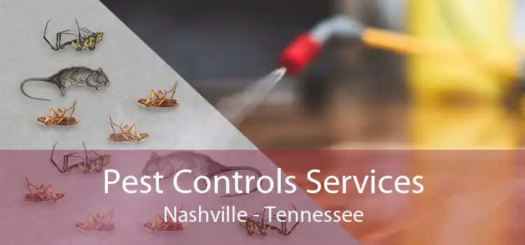 Pest Controls Services Nashville - Tennessee