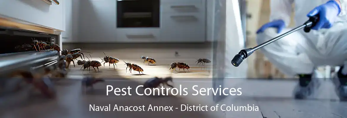 Pest Controls Services Naval Anacost Annex - District of Columbia