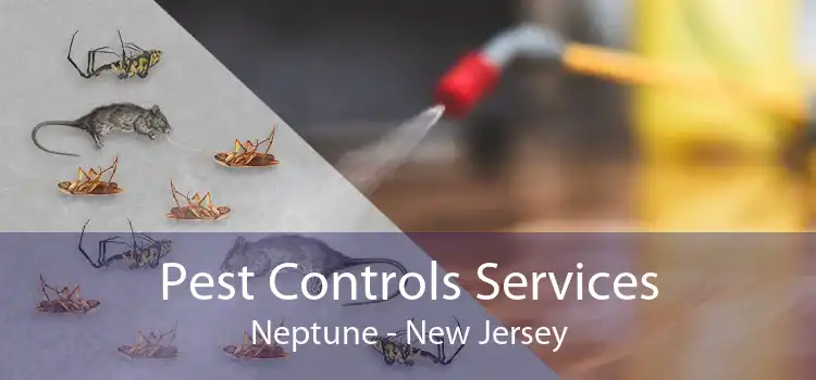 Pest Controls Services Neptune - New Jersey