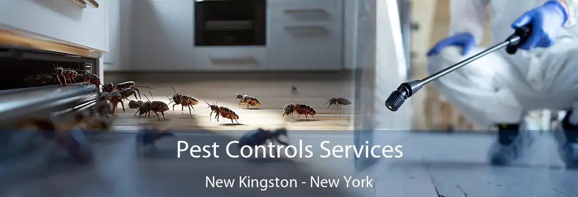 Pest Controls Services New Kingston - New York