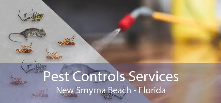 Pest Controls Services New Smyrna Beach - Florida