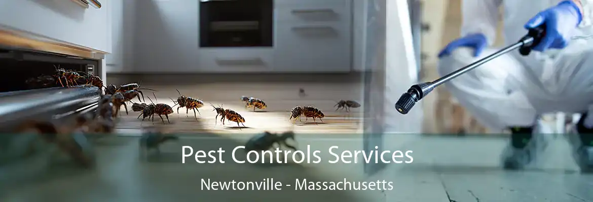 Pest Controls Services Newtonville - Massachusetts