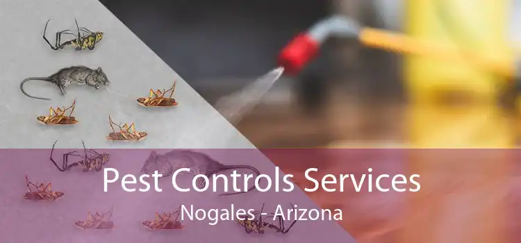 Pest Controls Services Nogales - Arizona