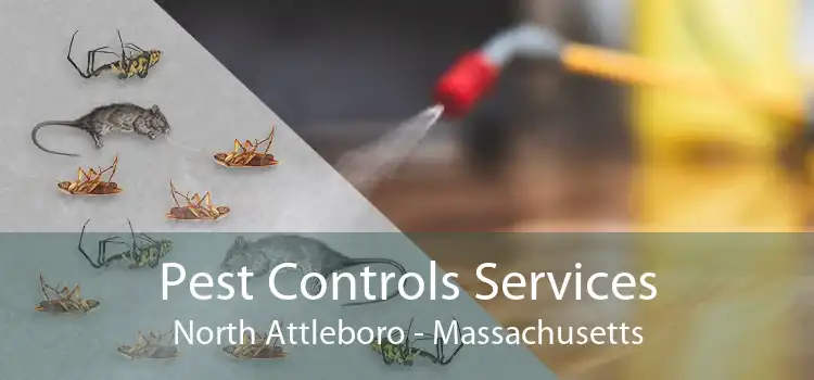 Pest Controls Services North Attleboro - Massachusetts