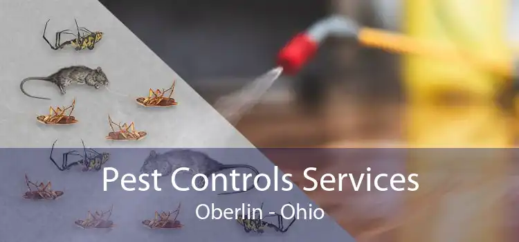 Pest Controls Services Oberlin - Ohio