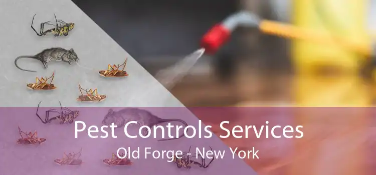 Pest Controls Services Old Forge - New York