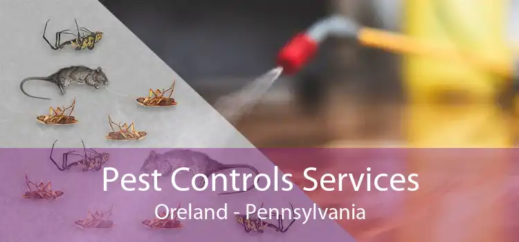 Pest Controls Services Oreland - Pennsylvania