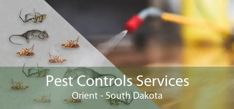 Pest Controls Services Orient - South Dakota