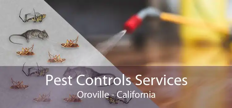 Pest Controls Services Oroville - California