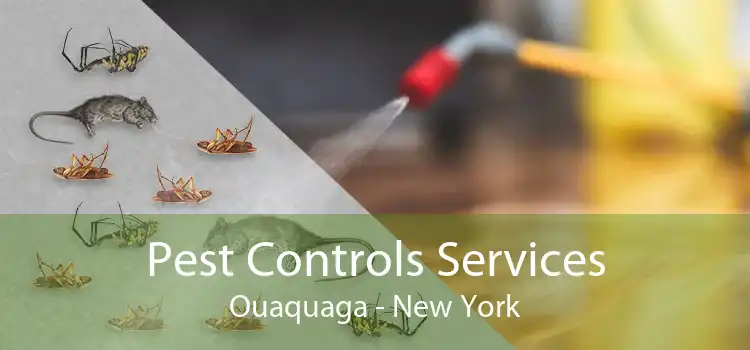 Pest Controls Services Ouaquaga - New York