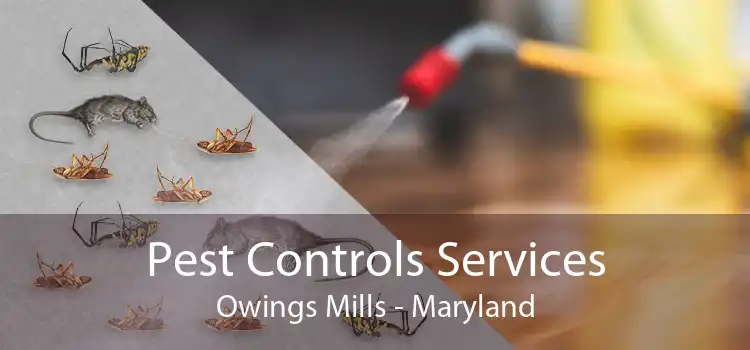 Pest Controls Services Owings Mills - Maryland