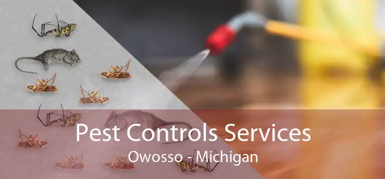 Pest Controls Services Owosso - Michigan