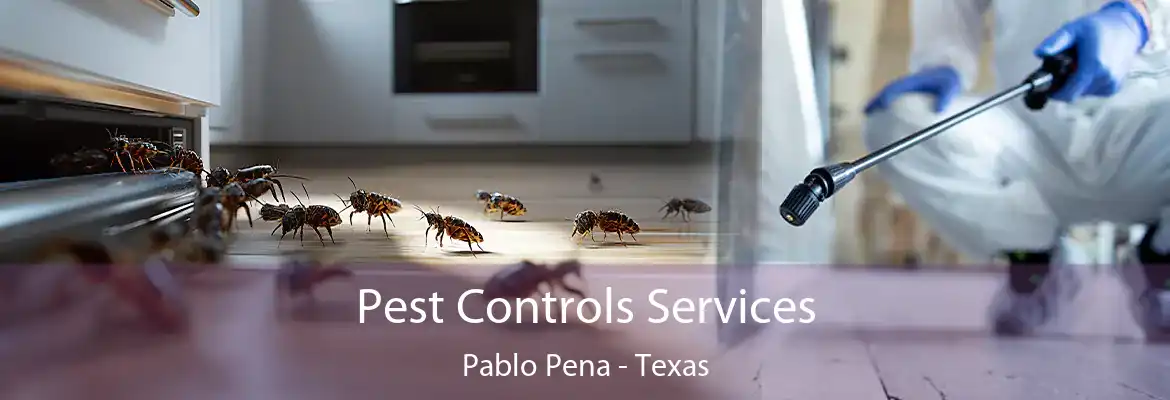 Pest Controls Services Pablo Pena - Texas