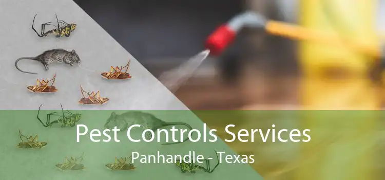 Pest Controls Services Panhandle - Texas