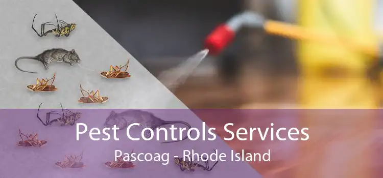 Pest Controls Services Pascoag - Rhode Island