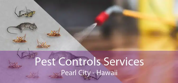 Pest Controls Services Pearl City - Hawaii