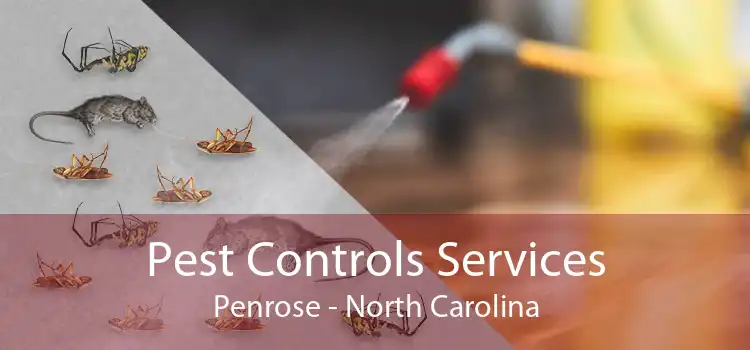 Pest Controls Services Penrose - North Carolina