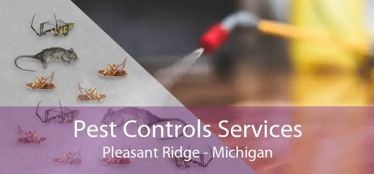 Pest Controls Services Pleasant Ridge - Michigan