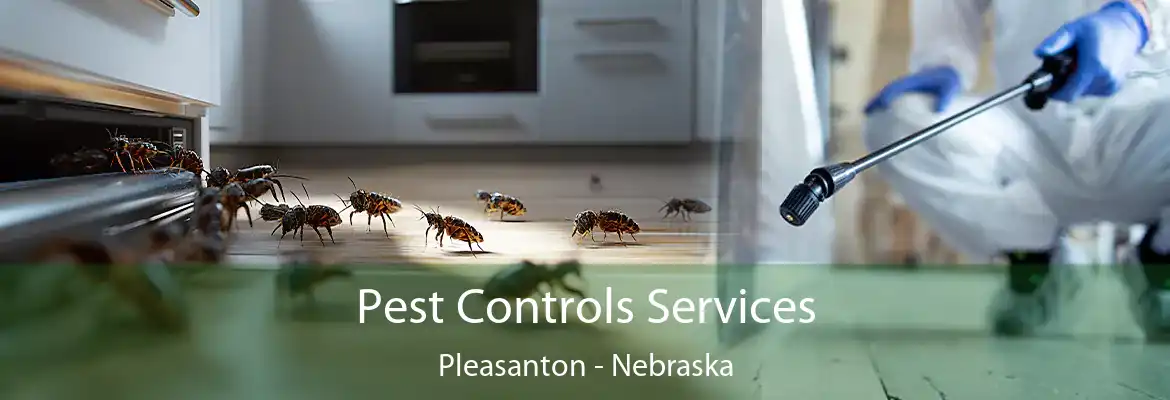 Pest Controls Services Pleasanton - Nebraska