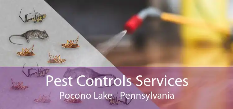 Pest Controls Services Pocono Lake - Pennsylvania