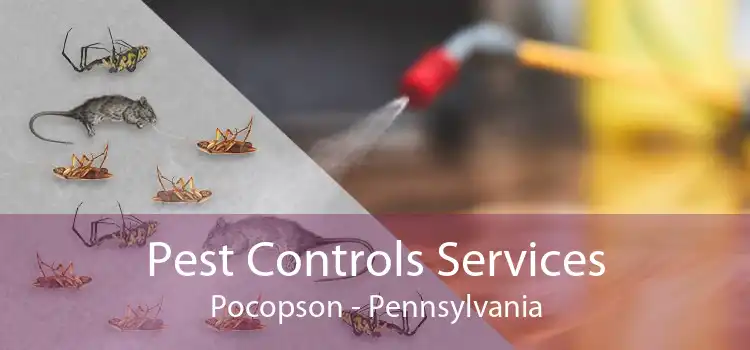 Pest Controls Services Pocopson - Pennsylvania