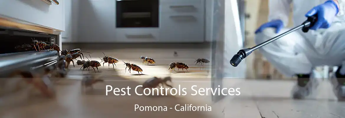 Pest Controls Services Pomona - California