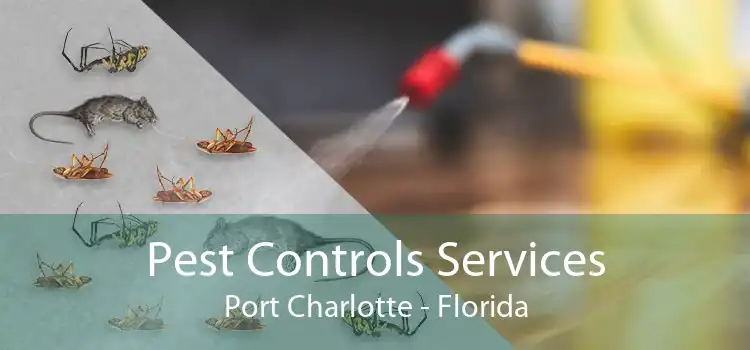 Pest Controls Services Port Charlotte - Florida