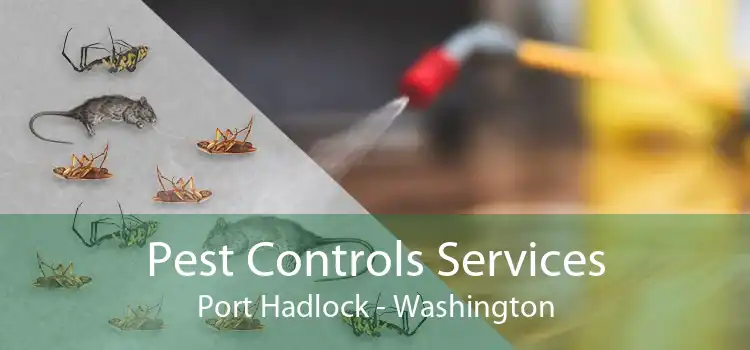 Pest Controls Services Port Hadlock - Washington