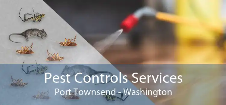 Pest Controls Services Port Townsend - Washington