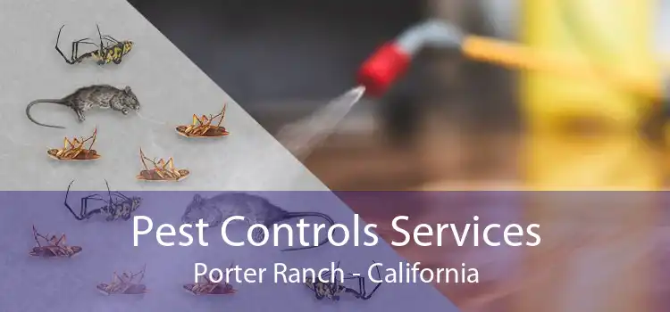 Pest Controls Services Porter Ranch - California