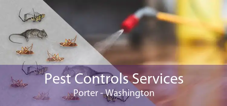 Pest Controls Services Porter - Washington